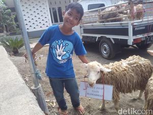 Cerita 4 Bocah yang Berhasil Beli Hewan Kurban, Rela Tak Jajan!