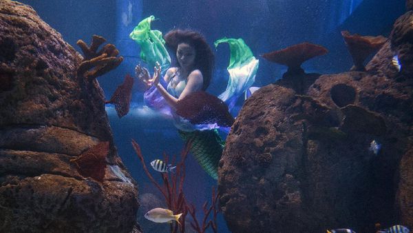 Ada Putri Duyung Cantik di Jakarta