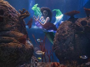 Ada Putri Duyung Cantik di Jakarta