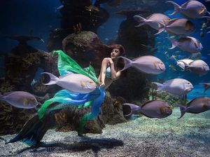 Dihibur Putri Duyung Cantik di Jakarta