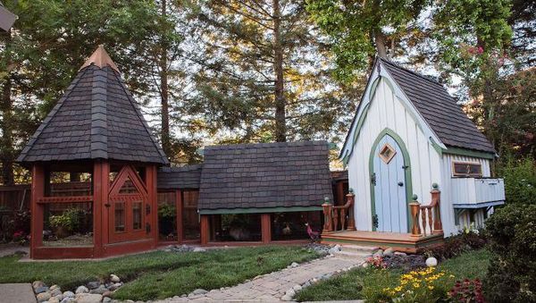 Kandang Ayammu Se-instagramable Ini? Ayo Diadu!