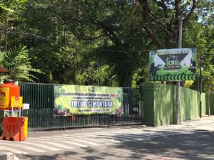 Long Weekend, Pengunjung KBS Dibagi Dua Sesi Antisipasi Penyebaran COVID-19