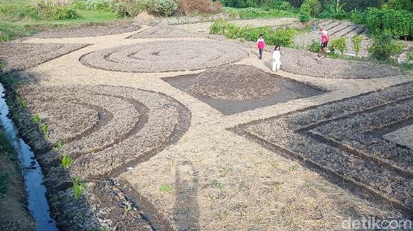 Kebun Sayuran Bermotif Batik