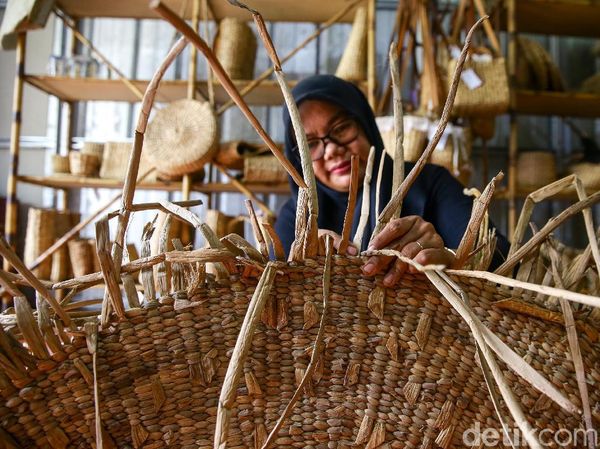 Keren! Gegara Wanita Ini, Eceng Gondok Melanglang Buana ke AS