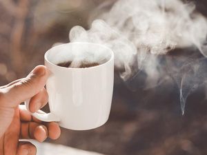 Manfaat Minum Kopi di Pagi Hari pada Tubuh Manfaat Minum Kopi di Pagi Hari pada Tubuh