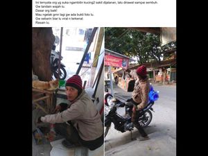 Viral Orang Baik di Tegal Rawat Kucing-kucing Jalanan yang Sakit