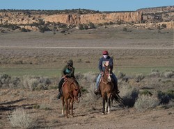 Video: Suhu di Phoenix Mulai Menurun Setelah Sebelumnya Pecahkan Rekor