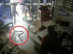 Beli Bensin Dilarang Pakai Botol, Pria Ini Ngamuk Lalu Lempar Ular Kobra