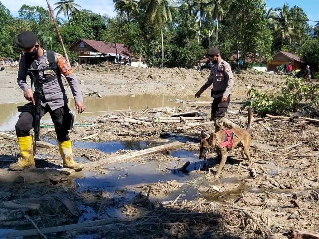 Polisi Kerahkan Anjing Pelacak Bantu Cari Korban Banjir di Luwu Utara Polisi Kerahkan Anjing Pelacak Bantu Cari Korban Banjir di Luwu Utara
