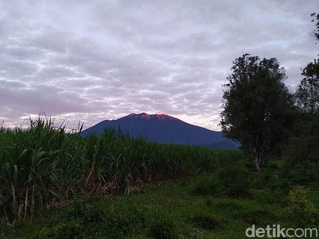 Jumlah Letusan Gunung Raung Turun, Gempa Tremor Naik Jumlah Letusan Gunung Raung Turun, Gempa Tremor Naik