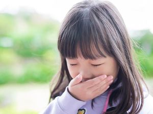Siswa SD di Sultra Muntah-muntah Usai Santap MBG, Polisi Cek Dapur Umum Siswa SD di Sultra Muntah-muntah Usai Santap MBG, Polisi Cek Dapur Umum