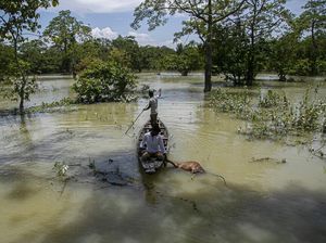 India Tembus 1 Juta Kasus Corona di Tengah Terjangan Banjir India Tembus 1 Juta Kasus Corona di Tengah Terjangan Banjir