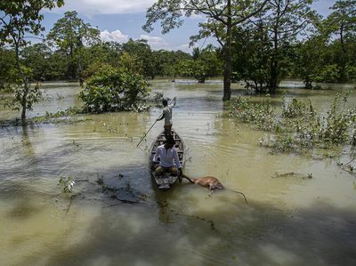 India Tembus 1 Juta Kasus Corona di Tengah Terjangan Banjir