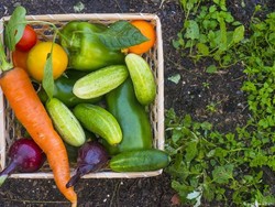 Jika Dunia Serakus Penduduk G20, Butuh 7 Planet Untuk Membuat Kenyang