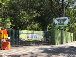 Kebun Binatang Surabaya Perpanjang Penutupan Sampai 26 Juli