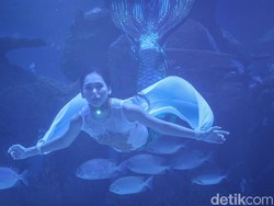 Tantangan Peran Jadi Putri Duyung: Akting dan Menari di Dalam Air