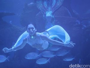 Tantangan Peran Jadi Putri Duyung: Akting dan Menari di Dalam Air Tantangan Peran Jadi Putri Duyung: Akting dan Menari di Dalam Air