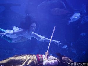 Melihat Teater Duyung di Dalam Mal Ibu Kota Melihat Teater Duyung di Dalam Mal Ibu Kota