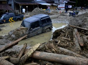 Pimpinan MPR Apresiasi Gotong Royong Warga Bantu Korban Banjir Luwu Utara