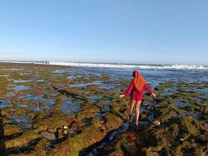 Ini Pantai Kuta Tempo Dulu Tapi di Yogyakarta Ini Pantai Kuta Tempo Dulu Tapi di Yogyakarta