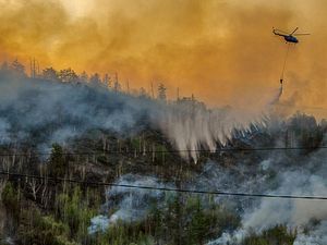 Siberia Alami Fenomena Iklim Baru, Dipicu Dampak Aktivitas Manusia Siberia Alami Fenomena Iklim Baru, Dipicu Dampak Aktivitas Manusia