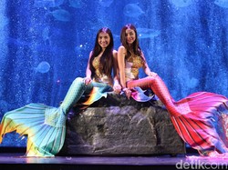 Kisah di Balik Putri Duyung Cantik nan Memesona