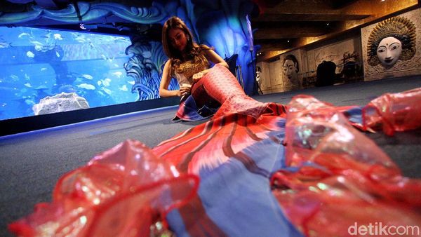 Kisah di Balik Layar Putri Duyung yang Mempesona
