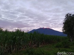 PVMBG Turunkan Status Gunung Raung dari Waspada Jadi Normal