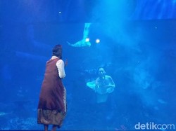 5 Fakta Pementasan Putri Duyung Nan Cantik di Jakarta Aquarium