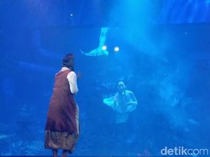 5 Fakta Pementasan Putri Duyung Nan Cantik di Jakarta Aquarium 5 Fakta Pementasan Putri Duyung Nan Cantik di Jakarta Aquarium