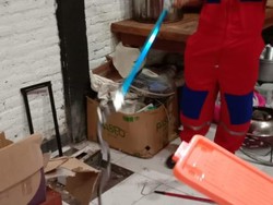 Hii! Seekor Ular Kobra Nyusup ke Warung Soto di Klaten