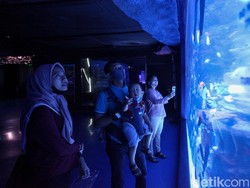 Jakarta Aquarium Punya Acara Menarik untuk Liburan Akhir Tahun