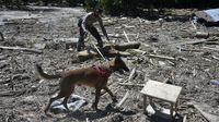 Anjing Pelacak Ikut Bantu Cari Korban Banjir Luwu Utara