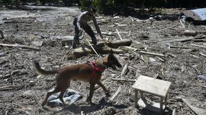 Anjing Pelacak Ikut Bantu Cari Korban Banjir Luwu Utara