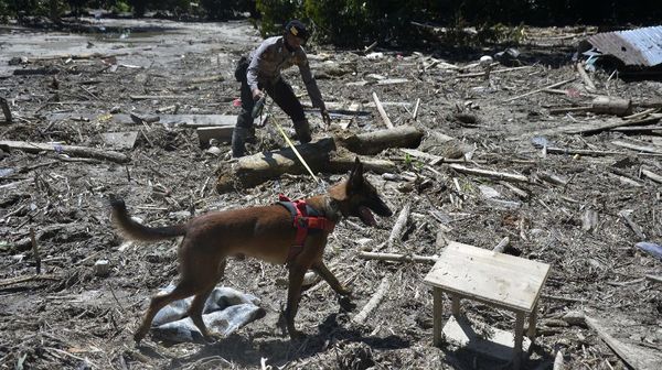 Anjing Pelacak Ikut Bantu Cari Korban Banjir Luwu Utara