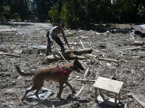 Anjing Pelacak Ikut Bantu Cari Korban Banjir Luwu Utara