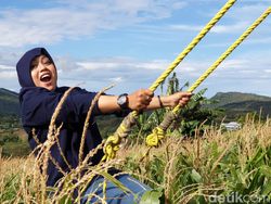 Keren! Jalan Tani di Parepare Disulap Jadi Spot Wisata Instagramable