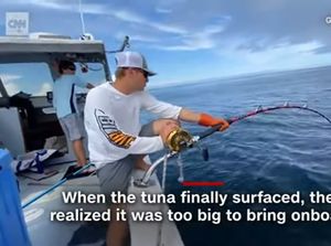 Nelayan Ini Butuh 7 Jam Untuk Menarik Ikan Tuna Seberat 300 Kilogram Nelayan Ini Butuh 7 Jam Untuk Menarik Ikan Tuna Seberat 300 Kilogram