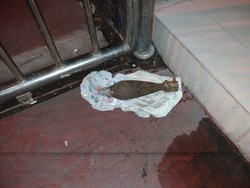 Warga Temukan Mortir Aktif dalam Karung yang Dibawa Bocah di Medan