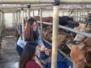 Strategi Biar Nggak Boncos Dagang Hewan Kurban Saat Corona