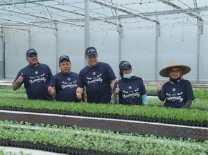 Pimpinan MPR Dorong Milenial Jadi Petani dengan Dukungan Teknologi