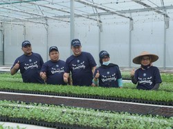 Pimpinan MPR Dorong Milenial Jadi Petani dengan Dukungan Teknologi