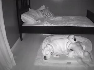 Gemes! Aksi Anak Kecil Tidur Bareng Anjingnya Terekam CCTV Gemes! Aksi Anak Kecil Tidur Bareng Anjingnya Terekam CCTV