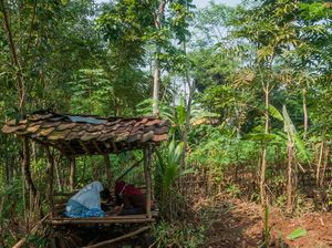 Dear Menkominfo, Kapan Nih Akses Internet Merata di Indonesia?