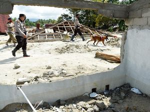 Pencarian Korban Banjir Bandang Luwu Utara Terus Dilakukan