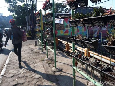 Vertikal Garden di Jalan Cicaheum Bandung Tak Terawat