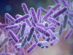 Sejak 2008, Produk Lokal Ini Sudah Berinovasi Cegah Kuman dan Bakteri