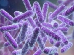 Sejak 2008, Produk Lokal Ini Sudah Berinovasi Cegah Kuman dan Bakteri