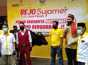 Bintang Toedjoe Kurban 1 Sapi Limosin lewat LAZISMU dan Nu Care-LAZISNU