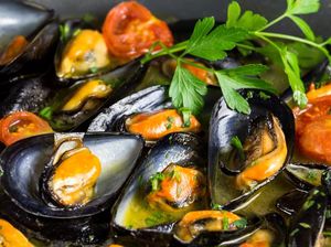 7 Makanan Kaya Zinc untuk Tingkatkan Imunitas Tubuh 7 Makanan Kaya Zinc untuk Tingkatkan Imunitas Tubuh